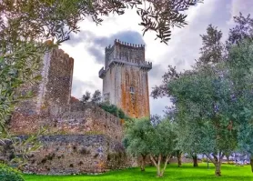 Arad - Beja