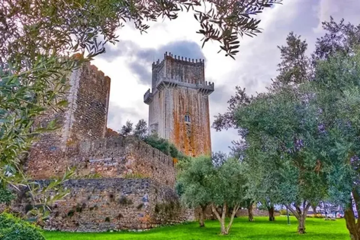 Arad - Beja