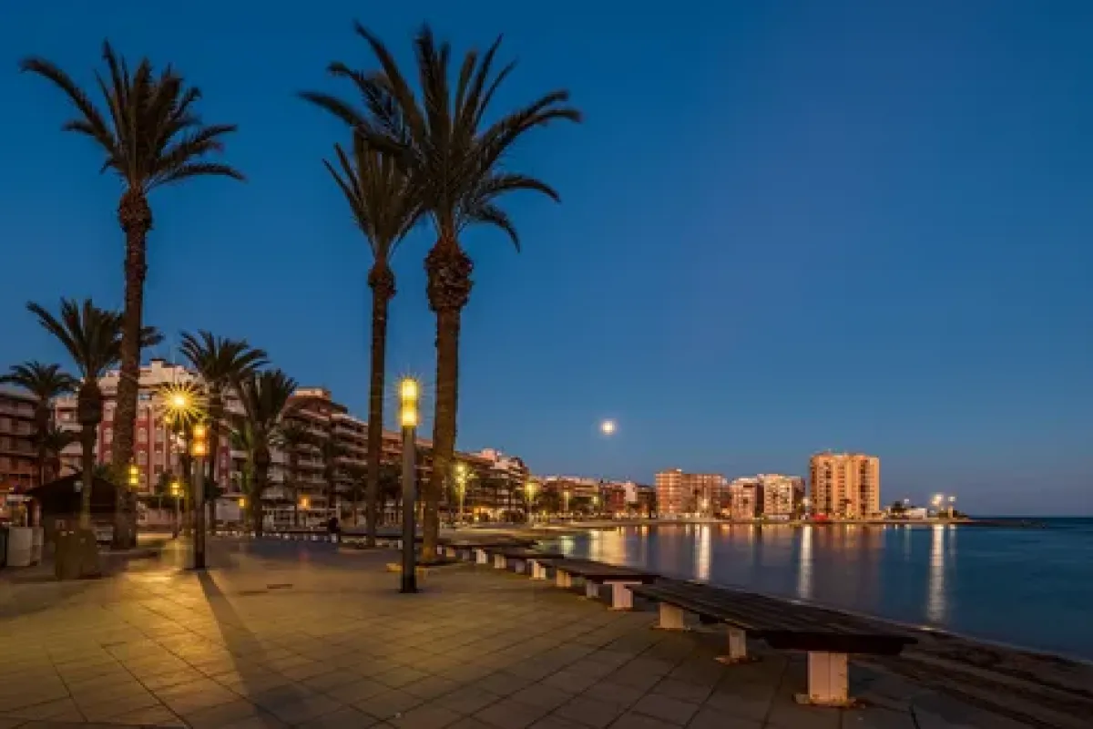 Timișoara - Torrevieja
