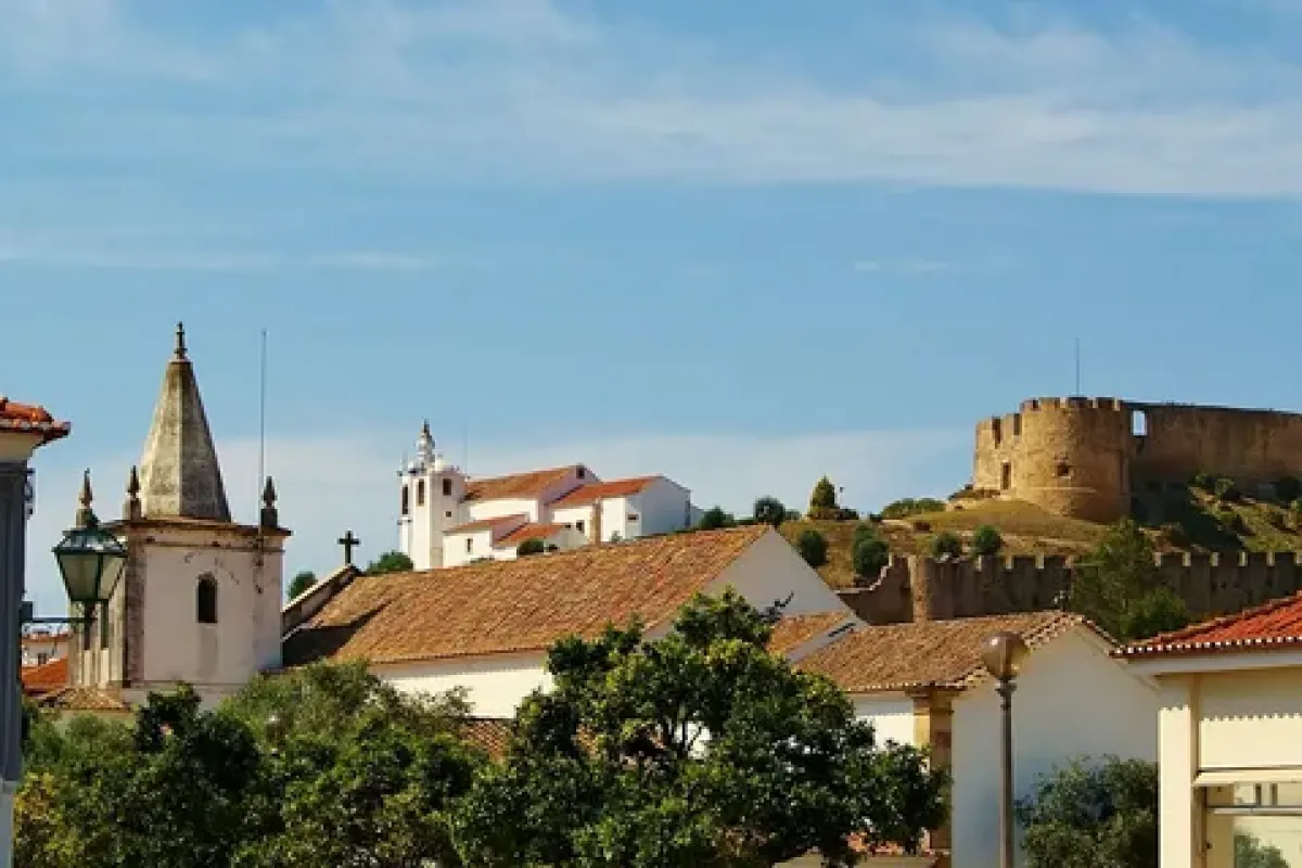 Timișoara - Torres Vedras