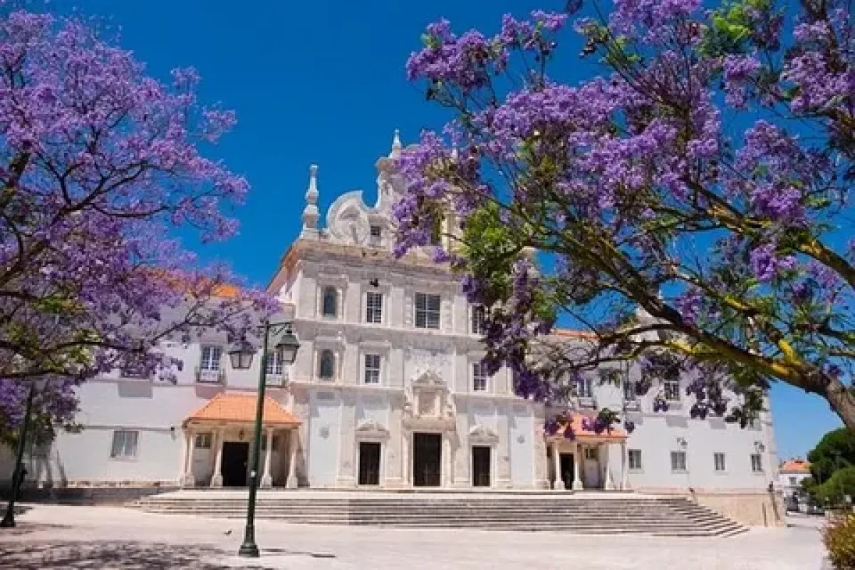 Adjud - Rio Maior