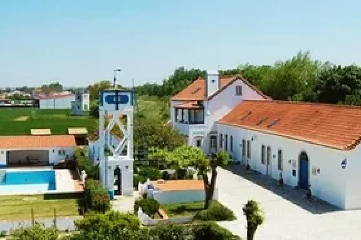 Тимишоара — Картаксо