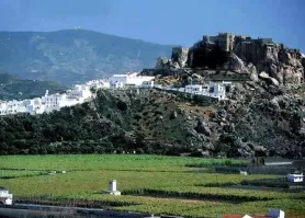 Arad - Motril