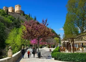 Arad - Granada