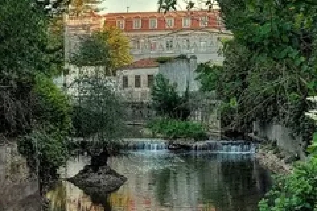 Arad - Oeiras