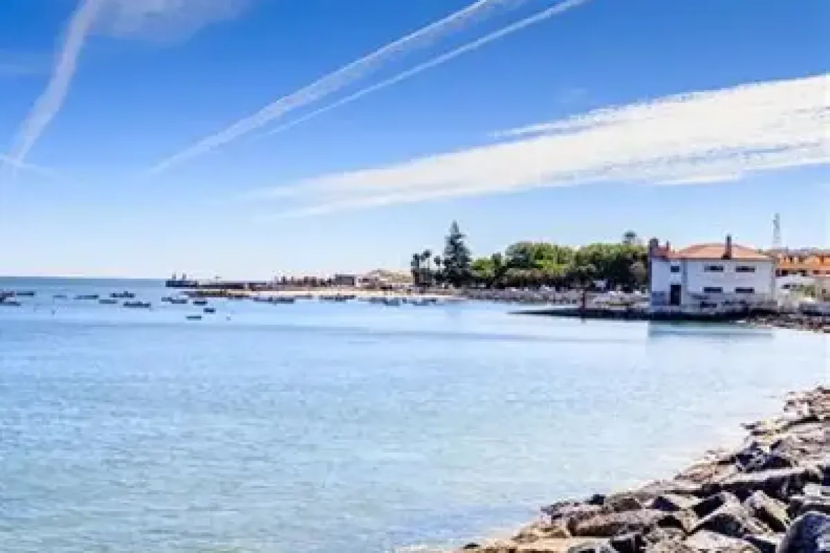 Tișița - Oeiras