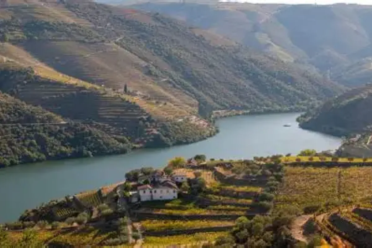 Tecuci - Rio Maior