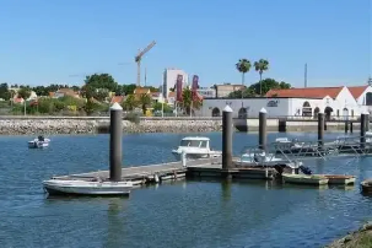 Bârlad - Montijo