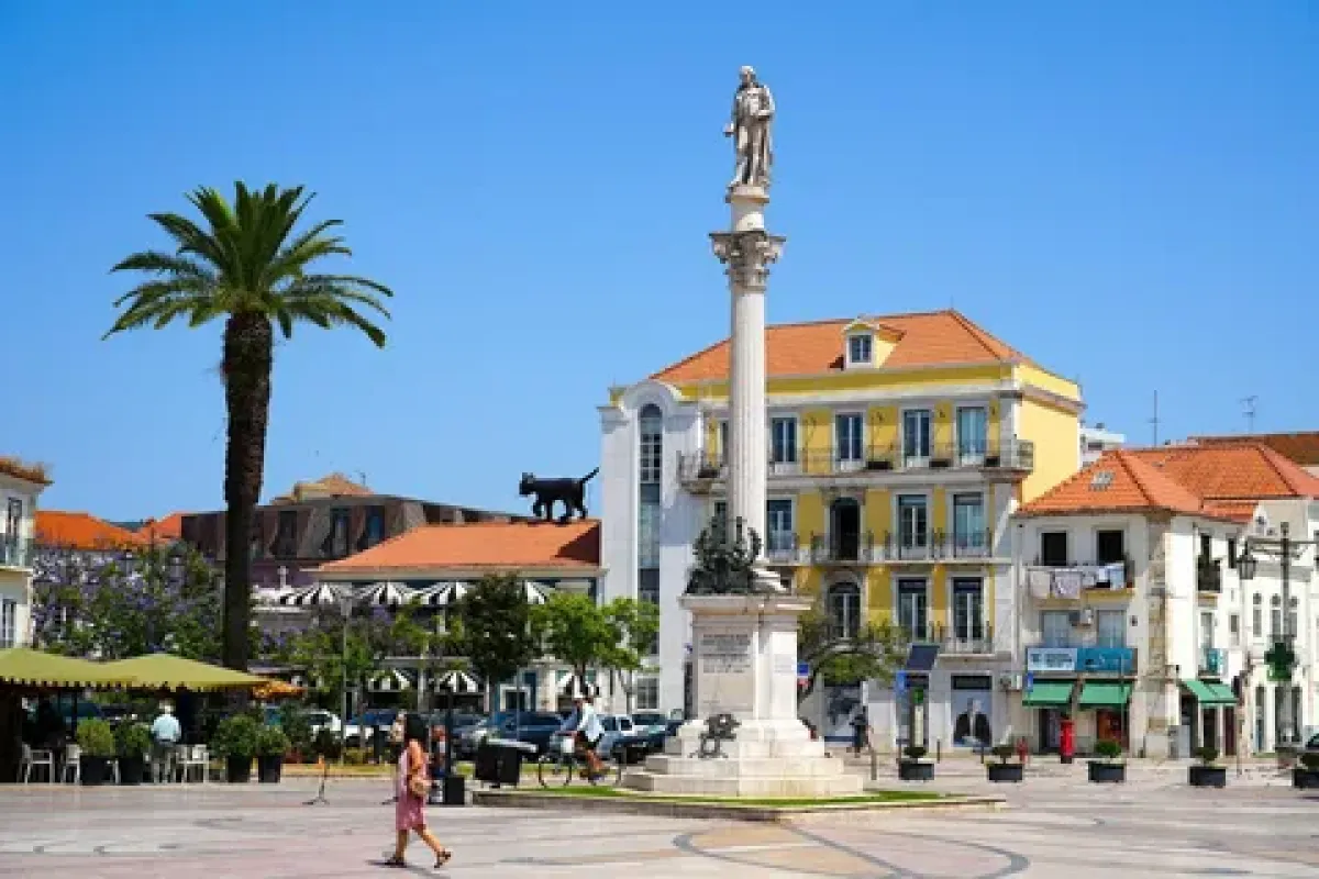 Timișoara - Setubal